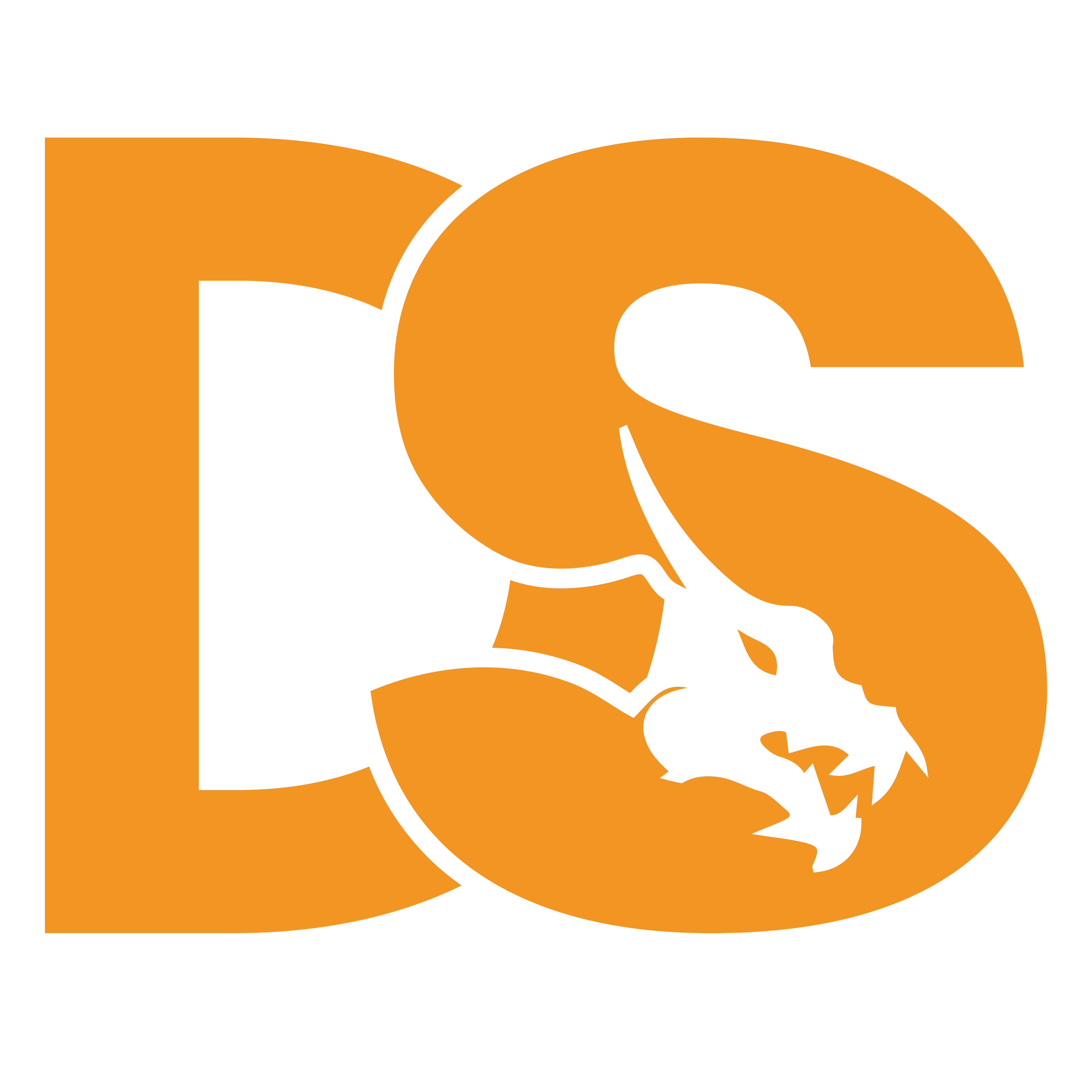  About DS Software 